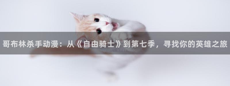 囧次元app官方下载：哥布林杀手动漫：从《自由骑士》到第七季，寻找你的英雄之旅