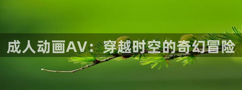 囧次元在线看：成人动画AV：穿越时空的奇幻冒险