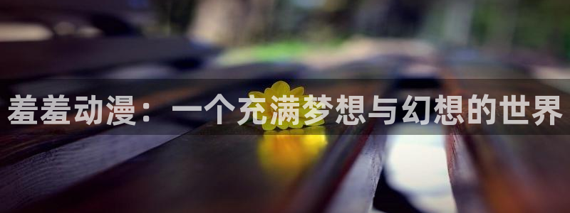 囧囧次元：羞羞动漫：一个充满梦想与幻想的世界