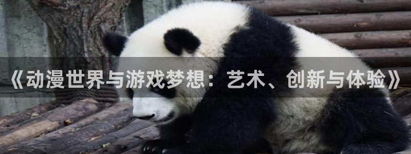 囧次元大全：《动漫世界与游戏梦想：艺术、创新与体验》